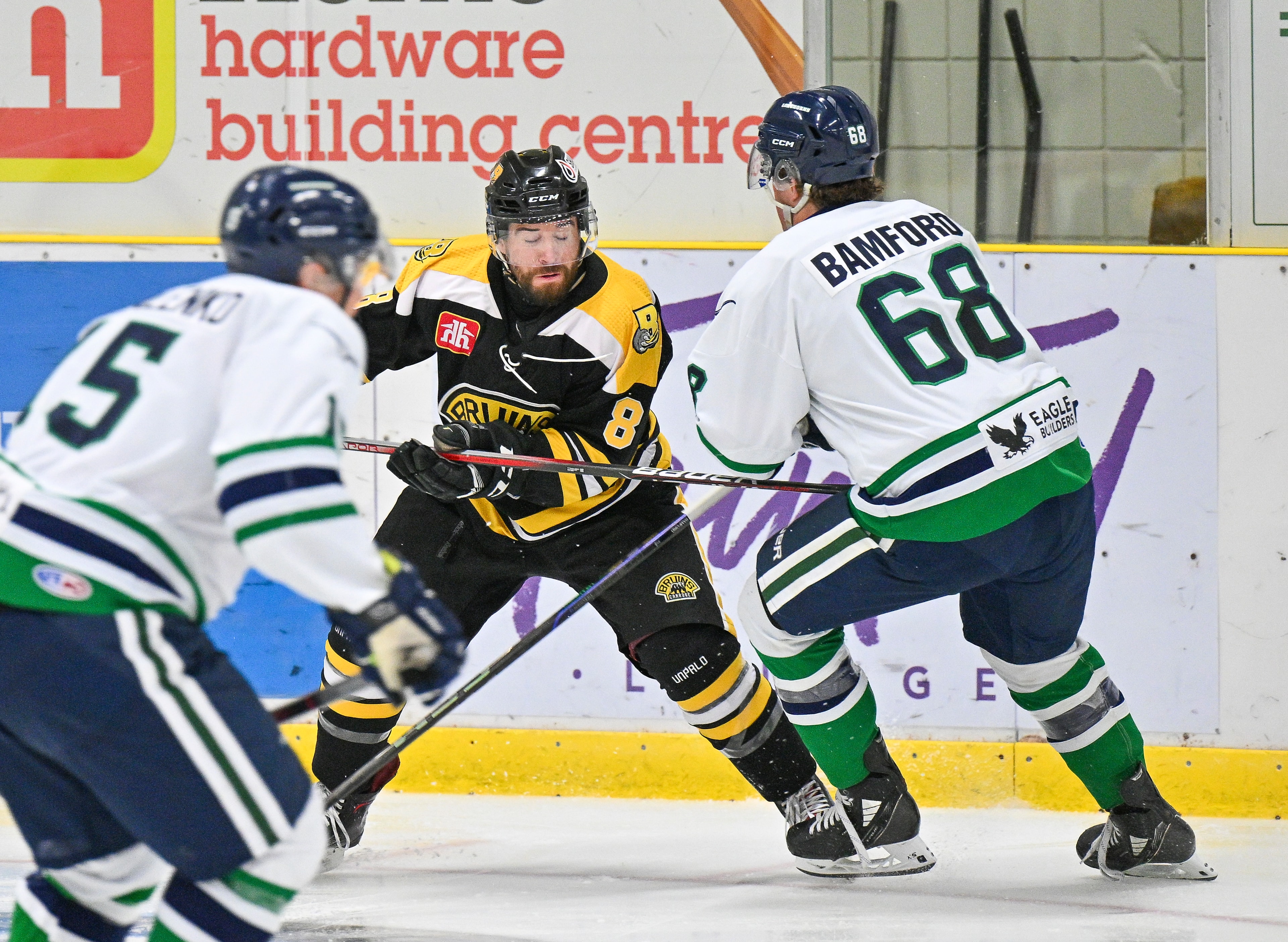 Bruins player in game action
